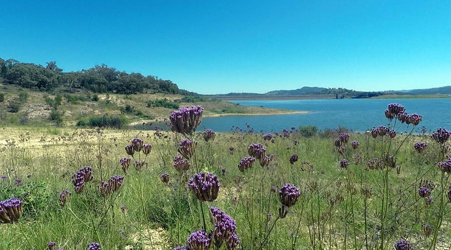 burrendong dam photo dubbo tradewinds web design