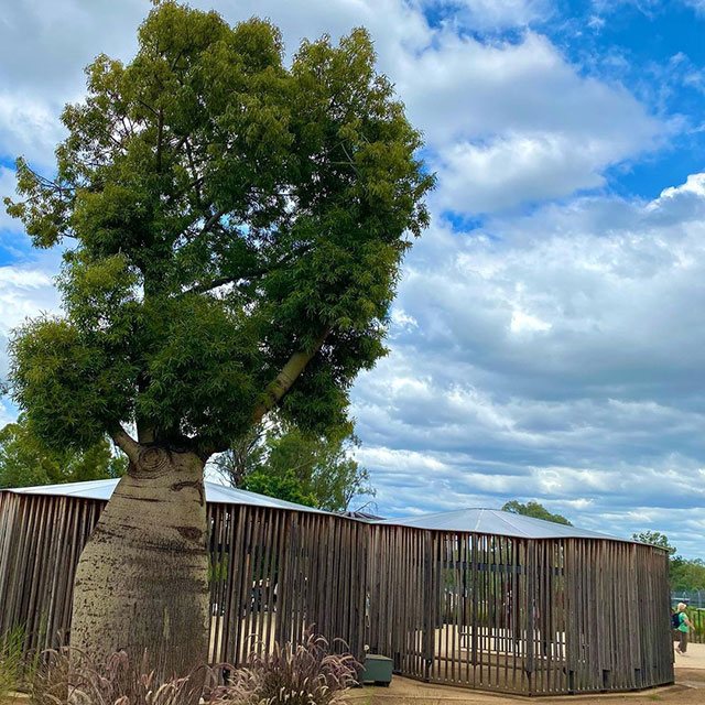 Tradewinds web design Dubbo at western plains taronga zoo